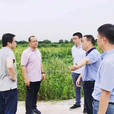 连云港队与苏州队：未来对战趋势预测